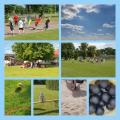 sportfest_20240613_171945306.jpg
